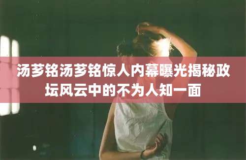 汤芗铭汤芗铭惊人内幕曝光揭秘政坛风云中的不为人知一面