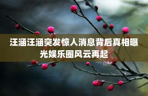 汪涵汪涵突发惊人消息背后真相曝光娱乐圈风云再起