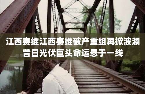 江西赛维江西赛维破产重组再掀波澜昔日光伏巨头命运悬于一线