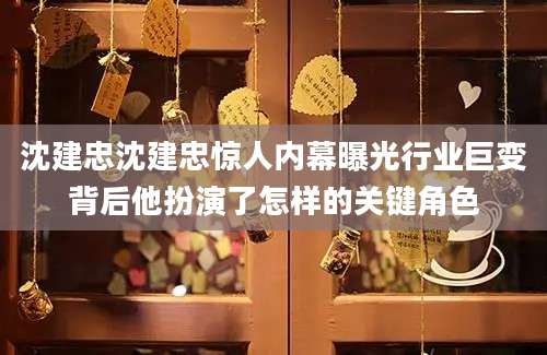 沈建忠沈建忠惊人内幕曝光行业巨变背后他扮演了怎样的关键角色