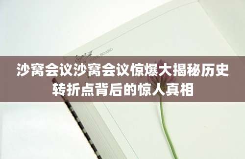 沙窝会议沙窝会议惊爆大揭秘历史转折点背后的惊人真相