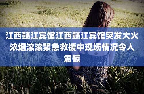 江西赣江宾馆江西赣江宾馆突发大火浓烟滚滚紧急救援中现场情况令人震惊