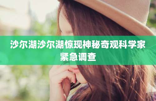 沙尔湖沙尔湖惊现神秘奇观科学家紧急调查