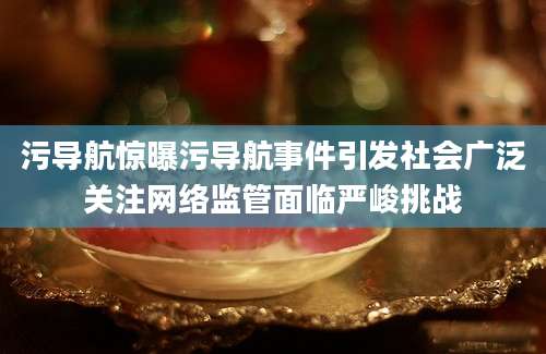 污导航惊曝污导航事件引发社会广泛关注网络监管面临严峻挑战