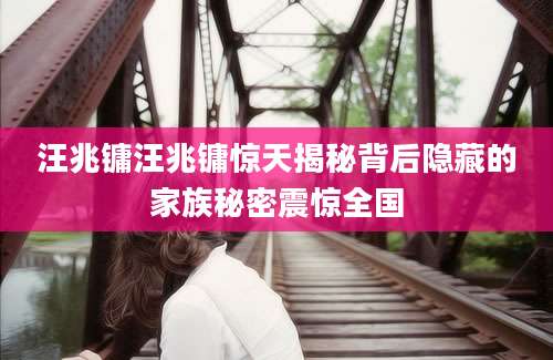 汪兆镛汪兆镛惊天揭秘背后隐藏的家族秘密震惊全国