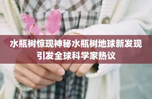 水瓶树惊现神秘水瓶树地球新发现引发全球科学家热议