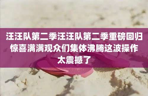 汪汪队第二季汪汪队第二季重磅回归惊喜满满观众们集体沸腾这波操作太震撼了