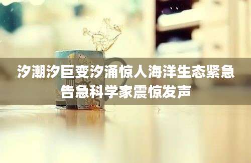 汐潮汐巨变汐涌惊人海洋生态紧急告急科学家震惊发声