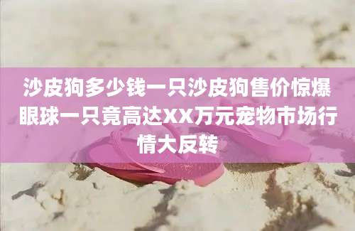 沙皮狗多少钱一只沙皮狗售价惊爆眼球一只竟高达XX万元宠物市场行情大反转