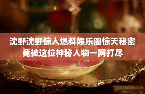沈野沈野惊人爆料娱乐圈惊天秘密竟被这位神秘人物一网打尽
