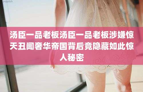 汤臣一品老板汤臣一品老板涉嫌惊天丑闻奢华帝国背后竟隐藏如此惊人秘密