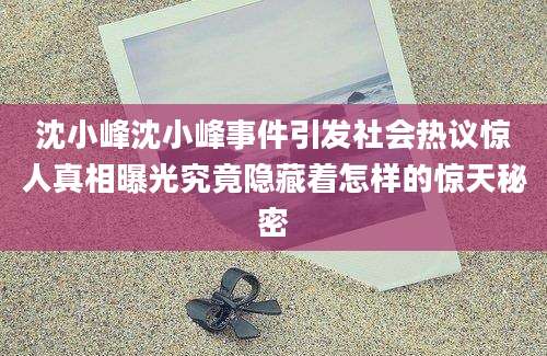 沈小峰沈小峰事件引发社会热议惊人真相曝光究竟隐藏着怎样的惊天秘密