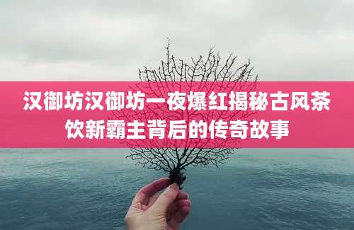 汉御坊汉御坊一夜爆红揭秘古风茶饮新霸主背后的传奇故事
