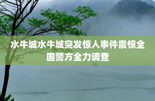 水牛城水牛城突发惊人事件震惊全国警方全力调查