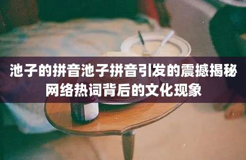 池子的拼音池子拼音引发的震撼揭秘网络热词背后的文化现象