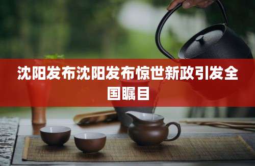 沈阳发布沈阳发布惊世新政引发全国瞩目