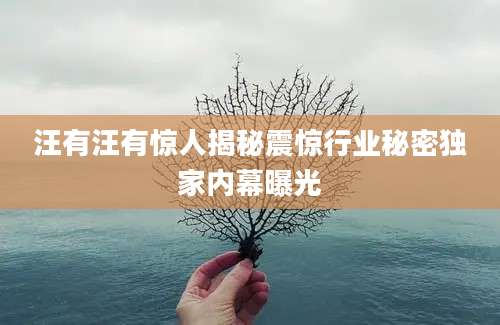 汪有汪有惊人揭秘震惊行业秘密独家内幕曝光