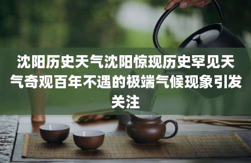 沈阳历史天气沈阳惊现历史罕见天气奇观百年不遇的极端气候现象引发关注