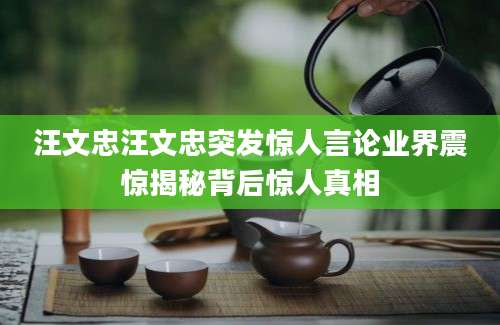 汪文忠汪文忠突发惊人言论业界震惊揭秘背后惊人真相