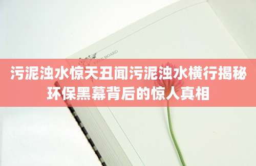 污泥浊水惊天丑闻污泥浊水横行揭秘环保黑幕背后的惊人真相