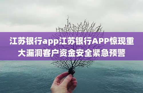 江苏银行app江苏银行APP惊现重大漏洞客户资金安全紧急预警