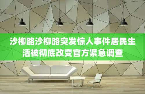 沙柳路沙柳路突发惊人事件居民生活被彻底改变官方紧急调查