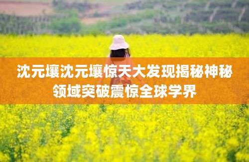 沈元壤沈元壤惊天大发现揭秘神秘领域突破震惊全球学界