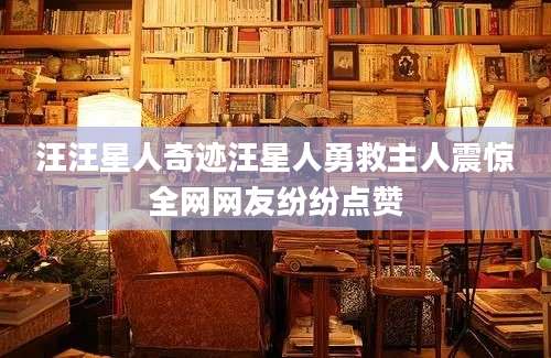 汪汪星人奇迹汪星人勇救主人震惊全网网友纷纷点赞