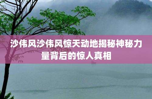 沙伟风沙伟风惊天动地揭秘神秘力量背后的惊人真相