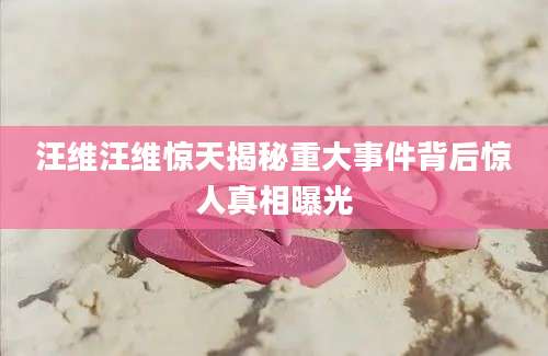 汪维汪维惊天揭秘重大事件背后惊人真相曝光
