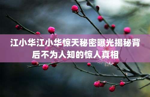 江小华江小华惊天秘密曝光揭秘背后不为人知的惊人真相