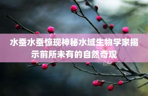 水蚕水蚕惊现神秘水域生物学家揭示前所未有的自然奇观