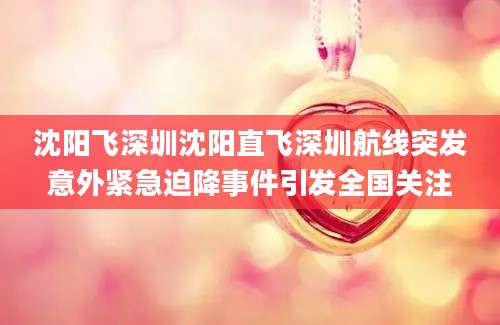 沈阳飞深圳沈阳直飞深圳航线突发意外紧急迫降事件引发全国关注