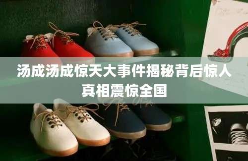 汤成汤成惊天大事件揭秘背后惊人真相震惊全国