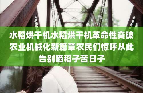 水稻烘干机水稻烘干机革命性突破农业机械化新篇章农民们惊呼从此告别晒稻子苦日子