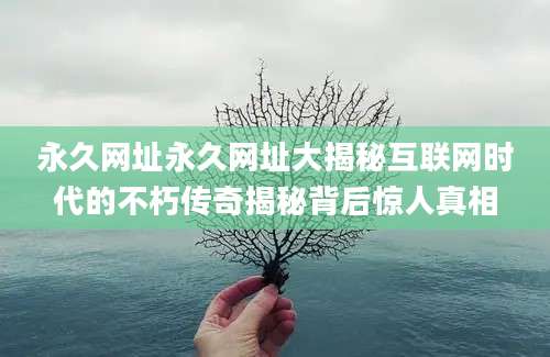 永久网址永久网址大揭秘互联网时代的不朽传奇揭秘背后惊人真相