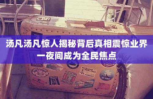 汤凡汤凡惊人揭秘背后真相震惊业界一夜间成为全民焦点