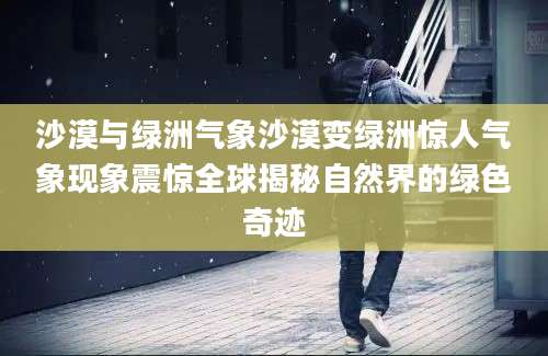 沙漠与绿洲气象沙漠变绿洲惊人气象现象震惊全球揭秘自然界的绿色奇迹