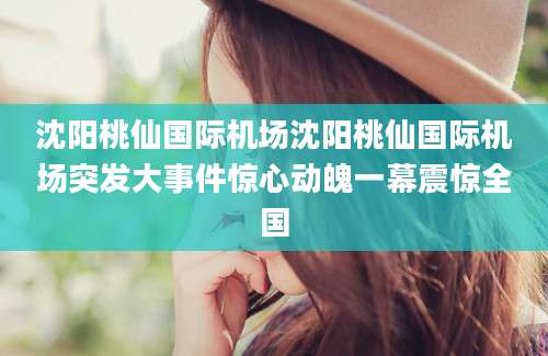 沈阳桃仙国际机场沈阳桃仙国际机场突发大事件惊心动魄一幕震惊全国