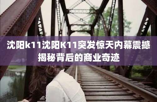 沈阳k11沈阳K11突发惊天内幕震撼揭秘背后的商业奇迹