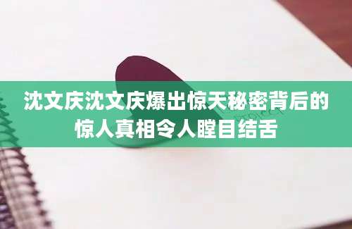 沈文庆沈文庆爆出惊天秘密背后的惊人真相令人瞠目结舌