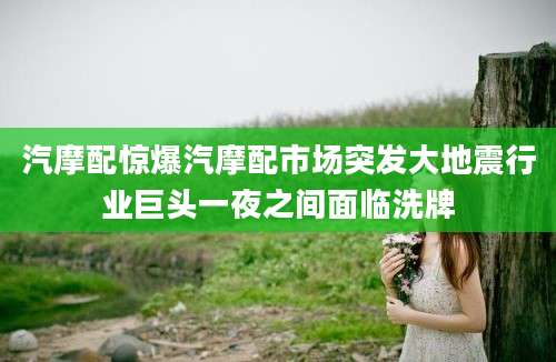 汽摩配惊爆汽摩配市场突发大地震行业巨头一夜之间面临洗牌