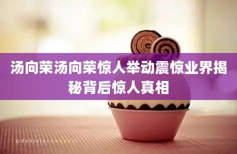 汤向荣汤向荣惊人举动震惊业界揭秘背后惊人真相