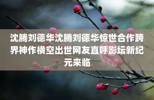 沈腾刘德华沈腾刘德华惊世合作跨界神作横空出世网友直呼影坛新纪元来临