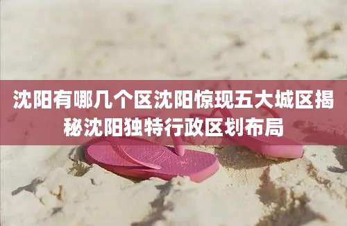 沈阳有哪几个区沈阳惊现五大城区揭秘沈阳独特行政区划布局