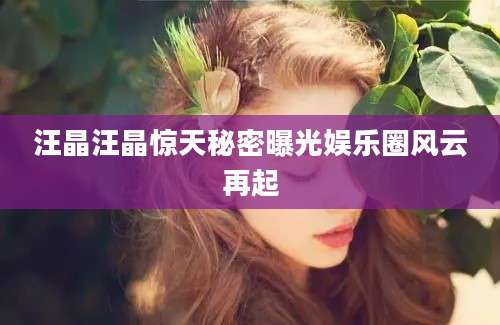 汪晶汪晶惊天秘密曝光娱乐圈风云再起