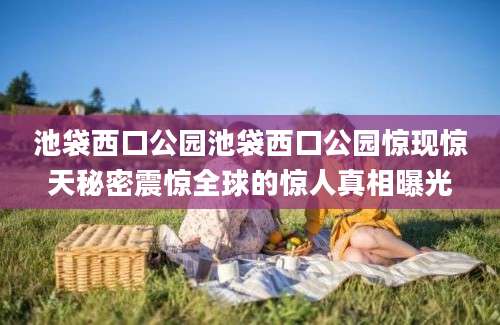 池袋西口公园池袋西口公园惊现惊天秘密震惊全球的惊人真相曝光
