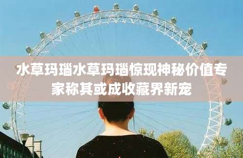 水草玛瑙水草玛瑙惊现神秘价值专家称其或成收藏界新宠