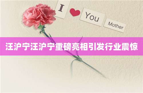 汪沪宁汪沪宁重磅亮相引发行业震惊