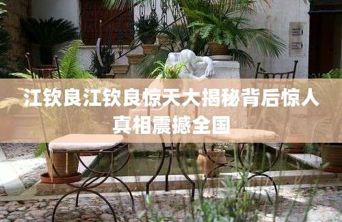 江钦良江钦良惊天大揭秘背后惊人真相震撼全国